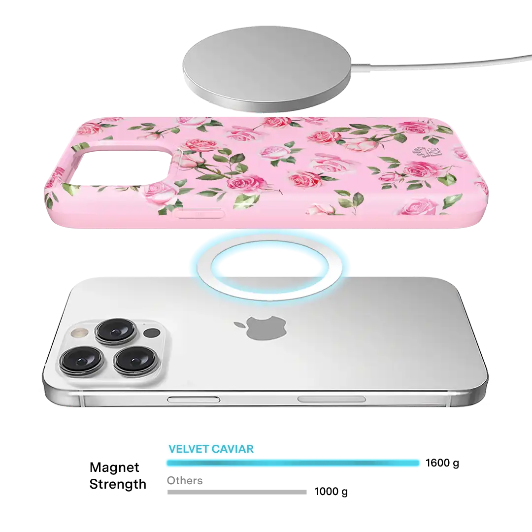 Baby Pink Roses iPhone Case