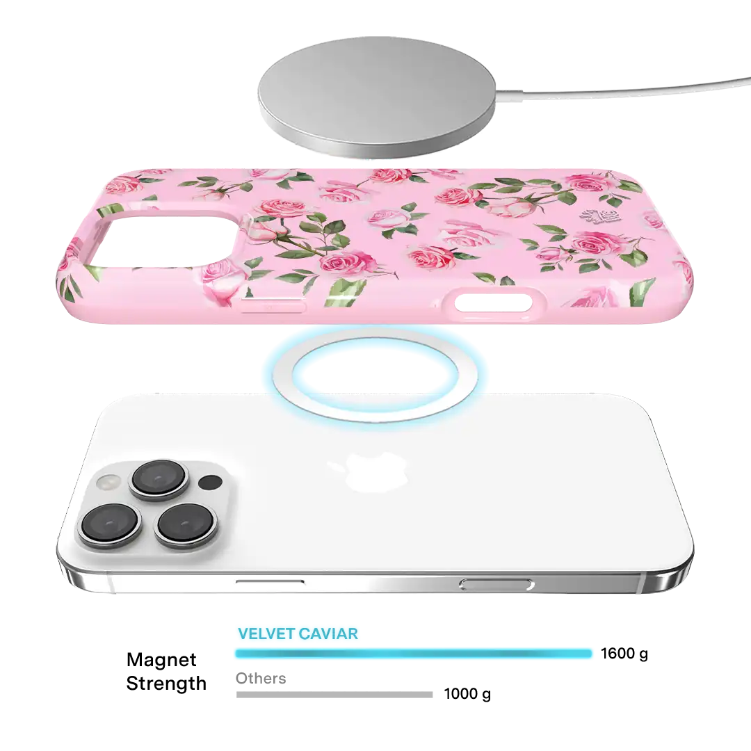 Baby Pink Roses iPhone Case