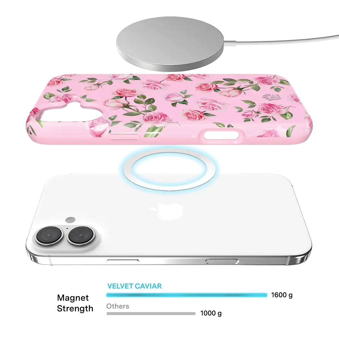 Baby Pink Roses iPhone Case